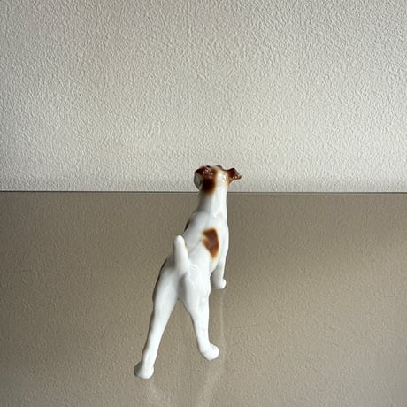 Dog brown