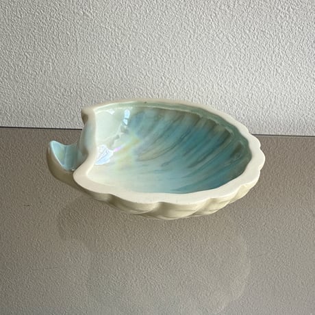 Shell tray blue