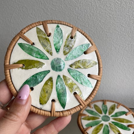 Shell coaster set