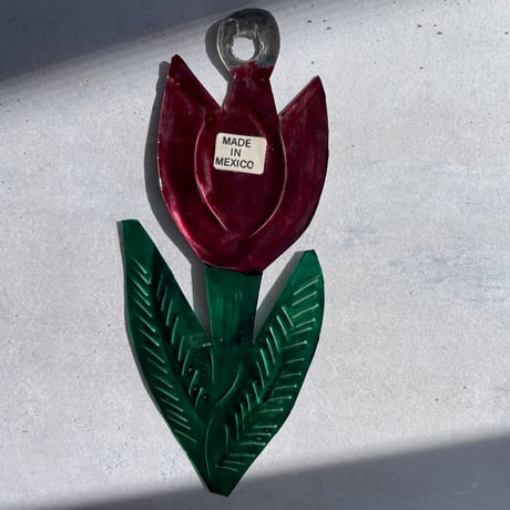 Tulip Mexico