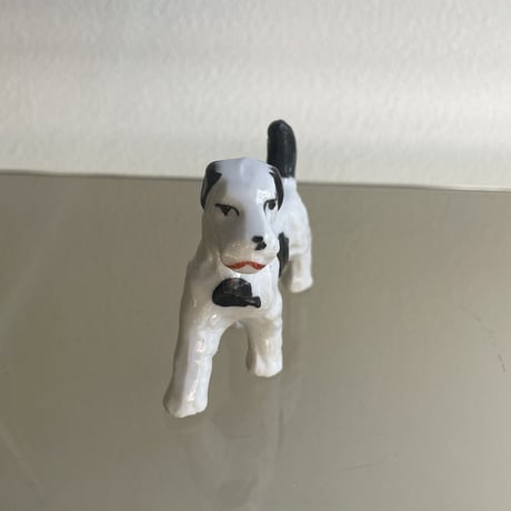 Mini dog white×black