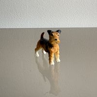 Dog ④