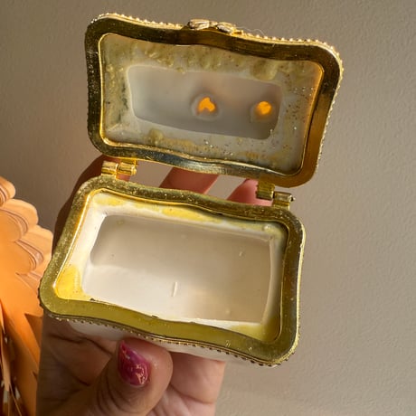 Angel and penguin case