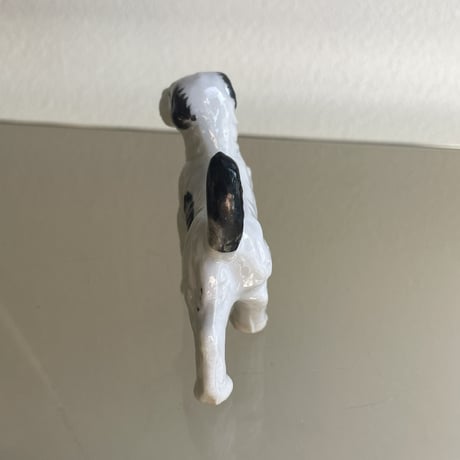 Mini dog white×black