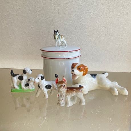 Mini dog white×black