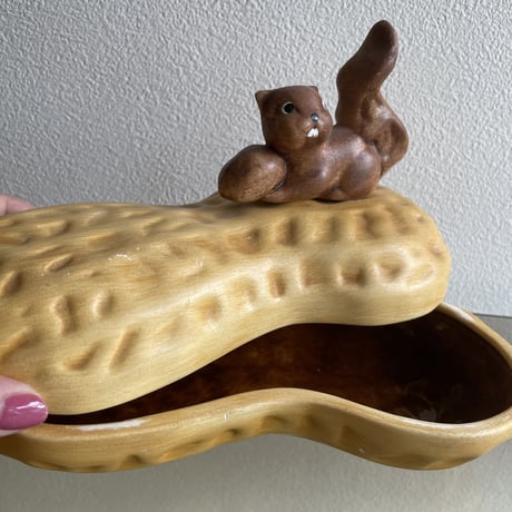 Squirrel on the nuts