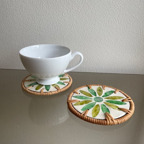 Shell coaster set