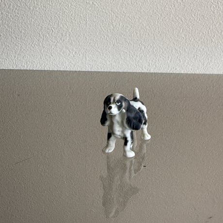 Dog ③
