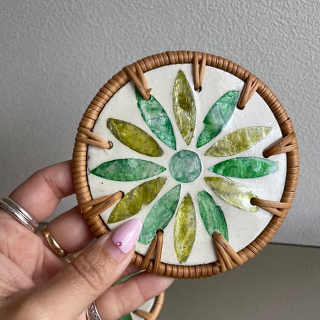Shell coaster set