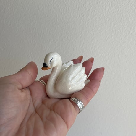 Mini swan