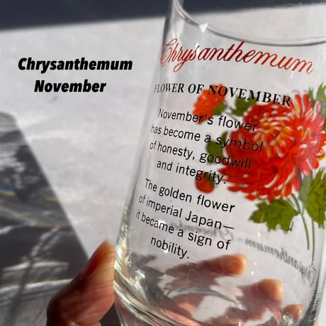 Brockway Flower of the month glass（9.10.11.12）