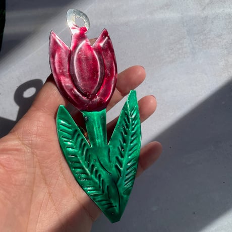 Tulip Mexico