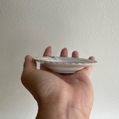 Ashtray bird