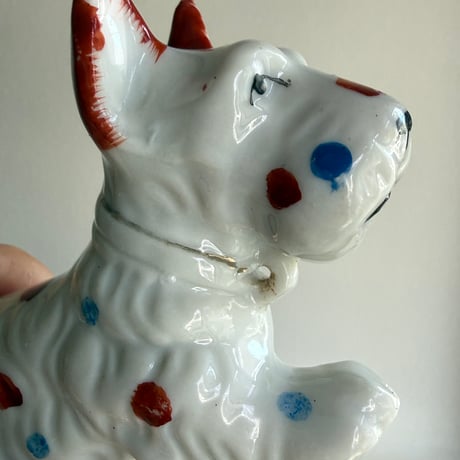 Dot dog