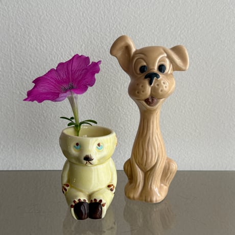 England SylvaC dog