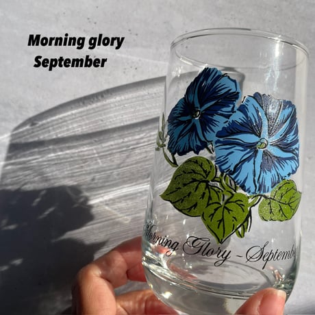 Brockway Flower of the month glass（9.10.11.12）