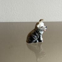 Mini dog
