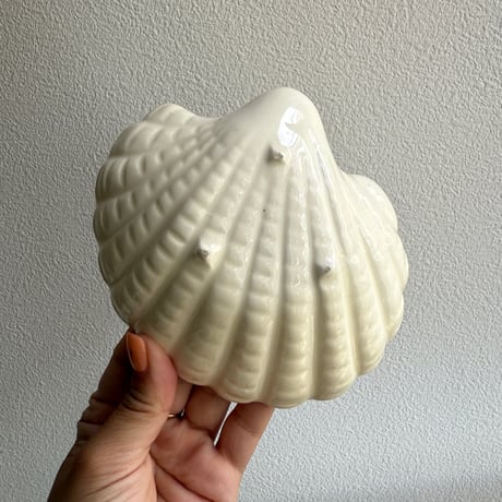 Shell tray blue