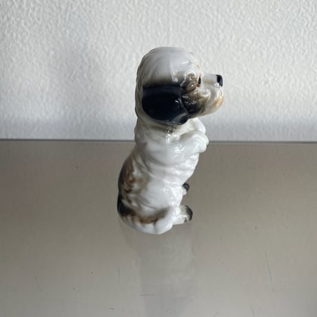 Dog C