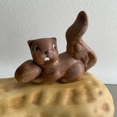 Squirrel on the nuts