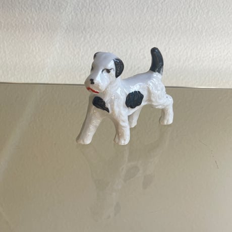 Mini dog white×black