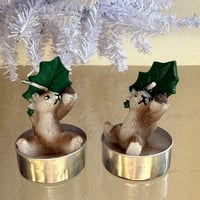 Candle squirrel