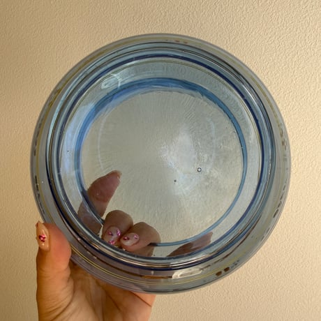 France flower handprint glass pot