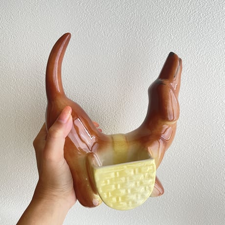 Dachshund
