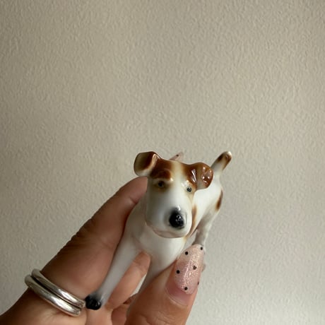 Dog brown