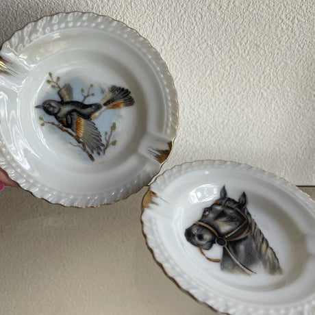 Ashtray bird