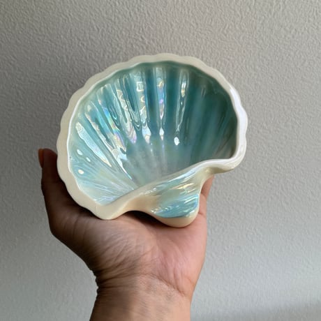 Shell tray blue