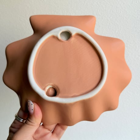 Shell soap dish