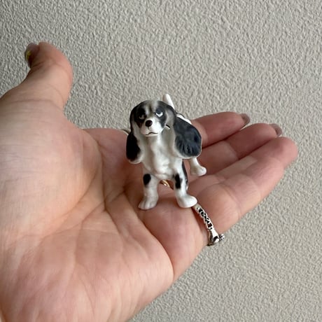 Dog ③