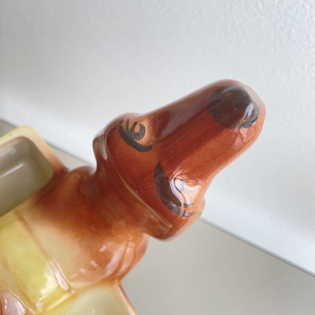 Dachshund