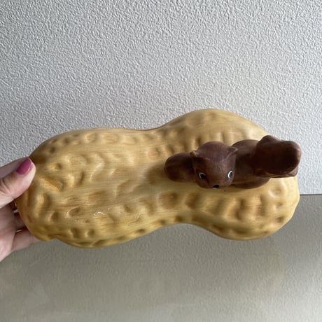 Squirrel on the nuts