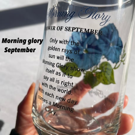 Brockway Flower of the month glass（9.10.11.12）