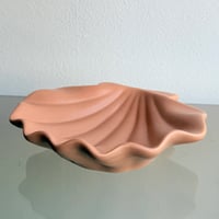 Shell soap dish
