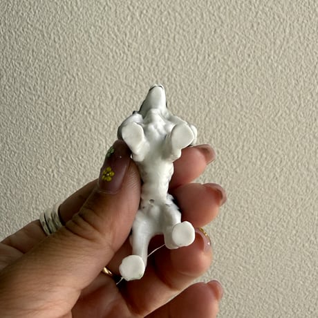 Dog ③