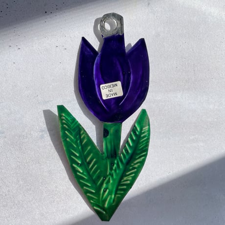 Tulip Mexico