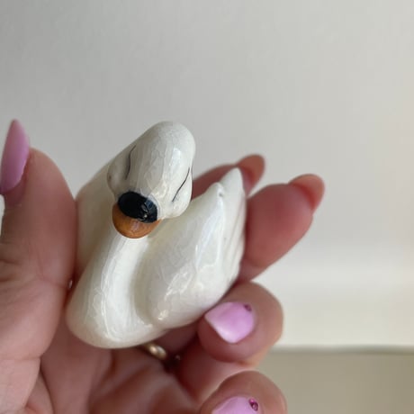Mini swan