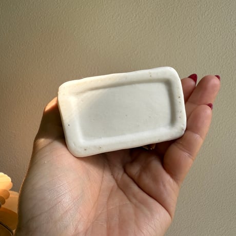 Angel and penguin case