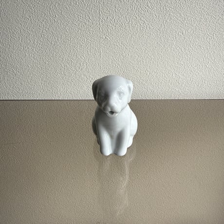 Dog pitcher