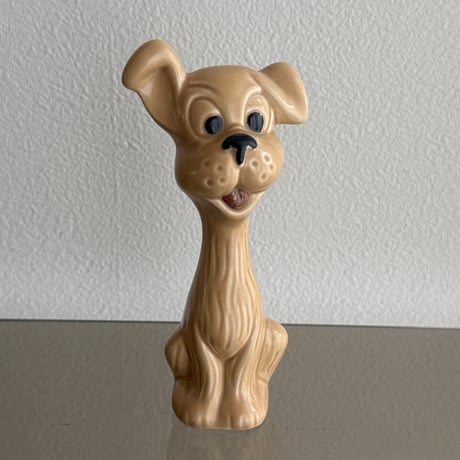 England SylvaC dog