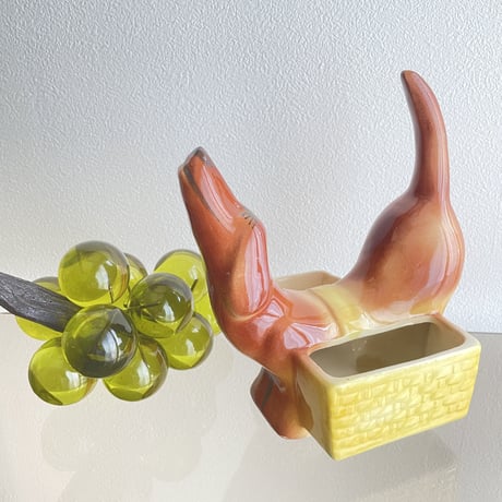 Dachshund