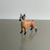 Dog ②