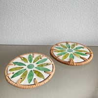 Shell coaster set