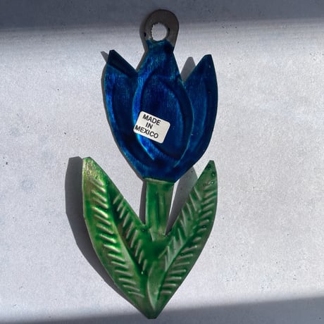 Tulip Mexico