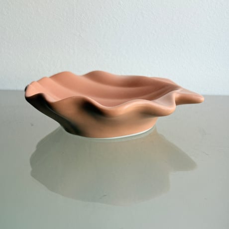 Shell soap dish