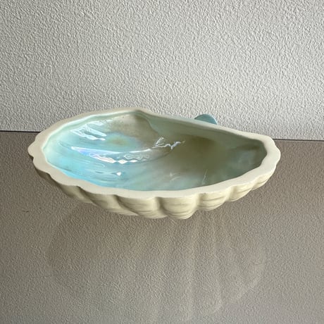Shell tray blue