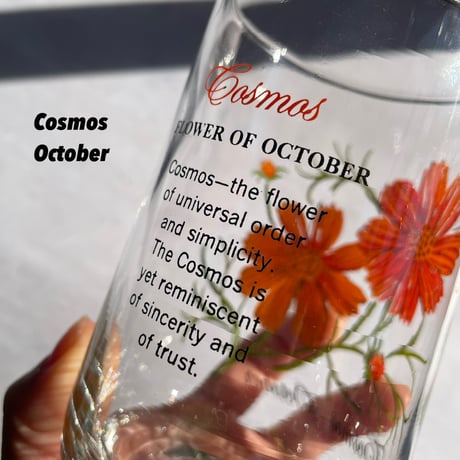 Brockway Flower of the month glass（9.10.11.12）